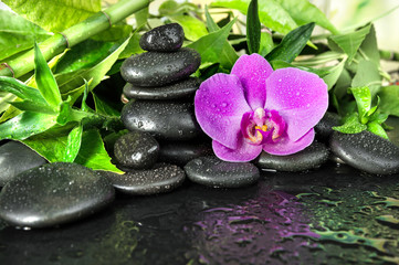 Fototapeta na wymiar Spa concept with zen stones, orchid flower and bamboo