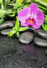 Obraz na płótnie Canvas Spa concept with zen stones, orchid flower and bamboo