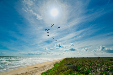 Anastasia State Park, St Augustine, Florida