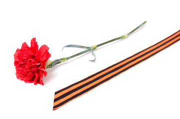Red Carnation St. George ribbon on white background, symbol of the great Victory over the Nazis,