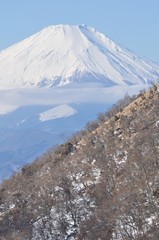 Fototapeta na wymiar 丹沢山地から望む富士山