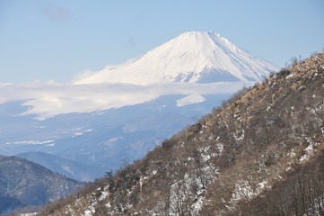 丹沢山地から望む富士山