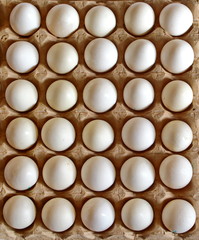 carton of white chicken eggs in neat rows top view