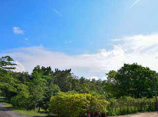 Obraz premium natural