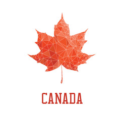 Low poly red maple leaf isolated