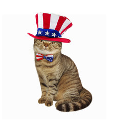 The cute cat is wearing a American patriotic hat and bow tie. White background.