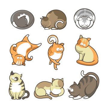 Cartoon cats in various positions set on white