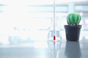 thermometer in flask and green cactus with flask for climate change environmental experiment in science laboratory
