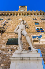 Michelangelo's David statue in Florence, Italy