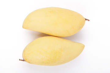 Yellow mango fruit on white background