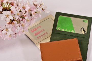 Obraz premium Sakura i bilet IC