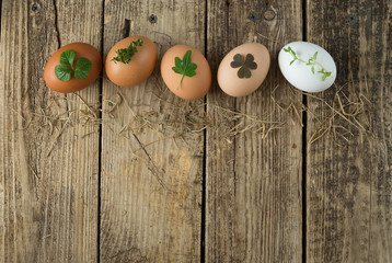 Eggs of different colors on wooden background