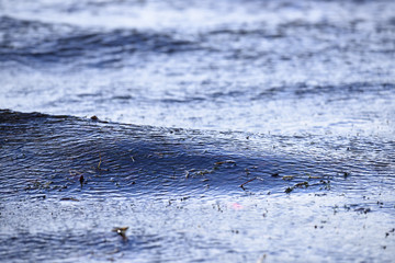 Water wave in a lake as background texture