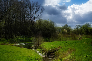 Obraz premium Idyllic brook flowing through a green meadow with trees and shrubs, blue sky with clouds in spring, rural natural landscape