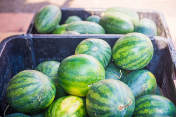 fresh watermelon for sell in basket