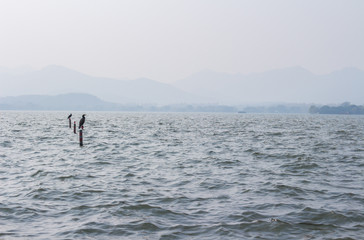 Obraz premium Blue landscape with a lake, mountains and birds