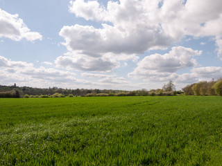 A Lovely Lush Meadow on A Clear Sping Day with Beautiful Clouds and Farm Fields of Plenty of Green Grass and open Space, Freedom and Happiness, and Wellbeing, with SkyFlare and High Exposure,