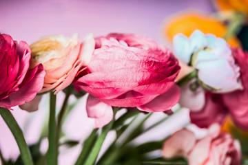 Obraz premium Pretty Ranunculus flowers at pink background, close up