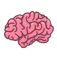 Flat style human brain illustration