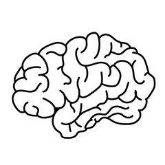 Flat style human brain side view doodle illustration