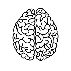 Flat style human brain top view doodle illustration