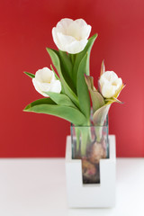White tulip bucket in vase, modern still life on red and white background