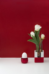 White tulip bucket in vase and egg modern still life on red and white background