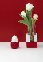 White tulip bucket in vase and egg modern still life on red and white background