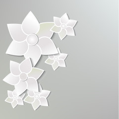 White paper flowers. Vector drawn illustration. An idea for a card, wedding invitation.