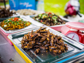 Insects sold as delicacy in Cambodia