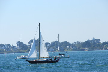 Obraz premium Voilier Golfe du Morbihan