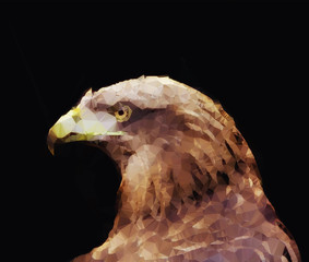 eagle head polygonal Illustration on black background