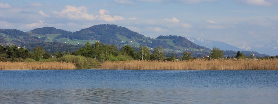 View from lake Pfaffikon towards Bachtel, hill in Zurich Canton, Switzerland. Spring scene.