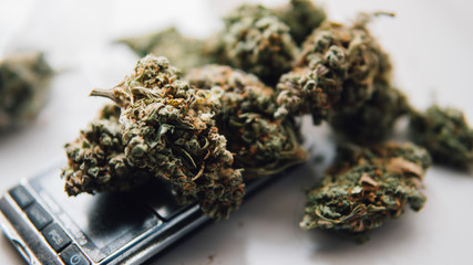 strains of marijuana for sale. Medical marijuana and the legalization of marijuana in the world....