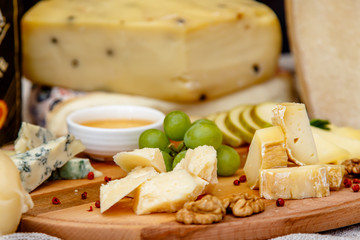 Different types of Italian cheeses (Parmesan, Gorgonzola, Roquefort) are on the Board. Macro.