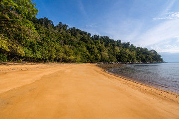 Empty smooth golden sand beach with dense forest shoreline.