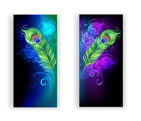 Two Banners with Peacock Feathers
