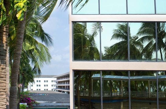 Здание отеля и тропические пальмы