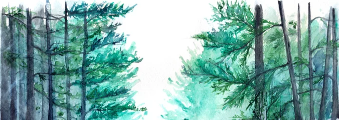 Papier Peint photo Lavable Nature aquarelle Paysage de pin de forêt de bois d& 39 hiver turquoise aquarelle