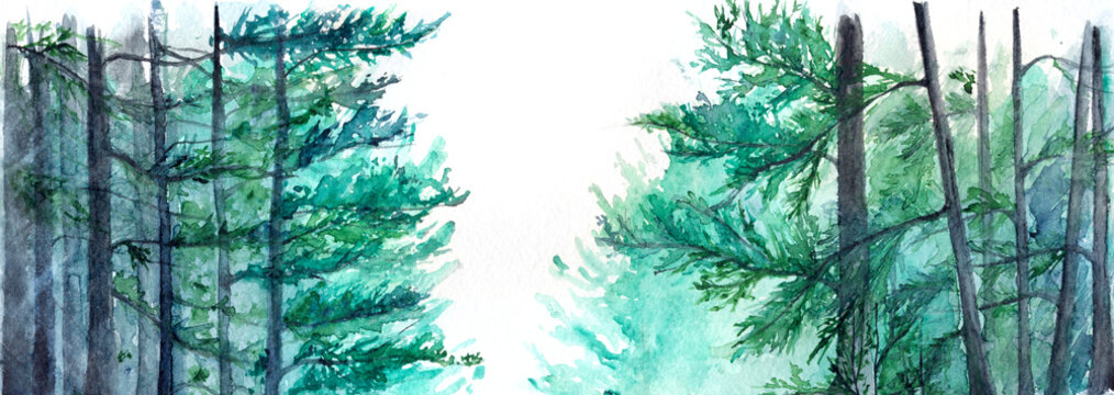 Watercolor turquoise winter wood forest pine landscape © Silmairel