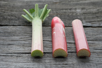 Kurze Stücke und Stangen vom Rhabarber