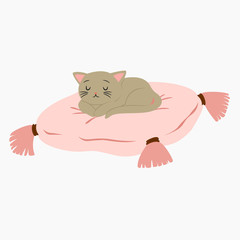 cat sleeping on top of a pink cushion vector