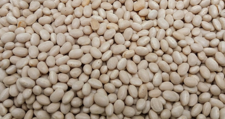 Beans legumes vegetables