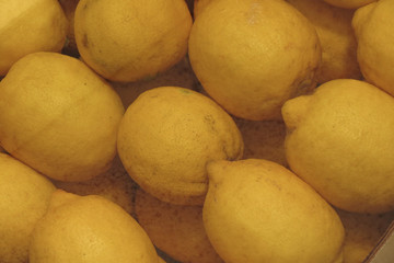 citron citrus fruit food