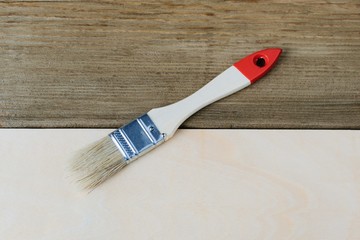 paintbrush