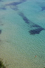 Fototapeta na wymiar Snorkeling in a blue sea 