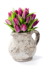 Pink Tulips