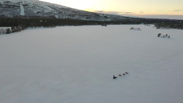 Aerial view of a dog sledge on a remote lake