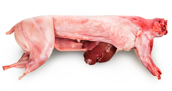 skinned carcass of a rabbit
