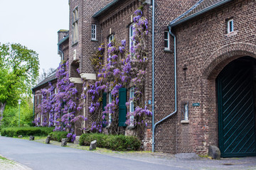 2738 Neuss - Gut Selikum